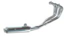 Shiny Motad exhaust